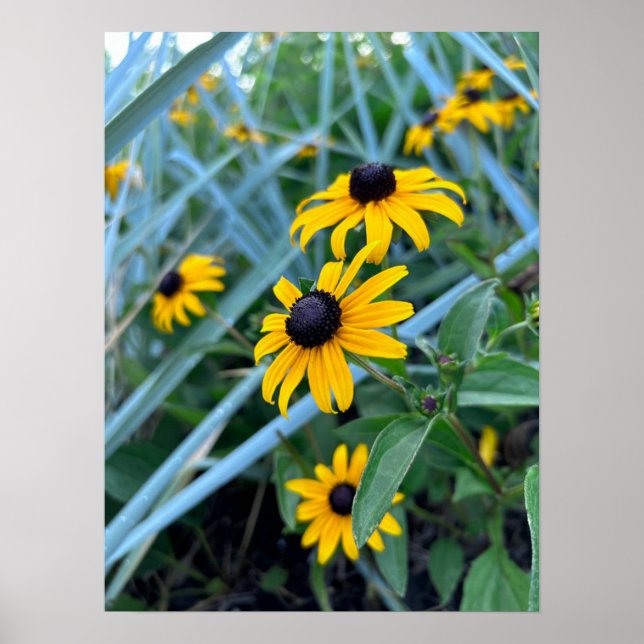 Affiche Imprimer, Papier d'affiche de valeur (Matte) (Devant)