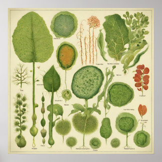 Affiche Imprimer, Papier d'affiche de valeur (Matte)