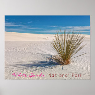 Affiche Imprimer, Papier d'affiche de valeur (Matte)