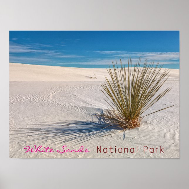 Affiche Imprimer, Papier d'affiche de valeur (Matte) (Devant)