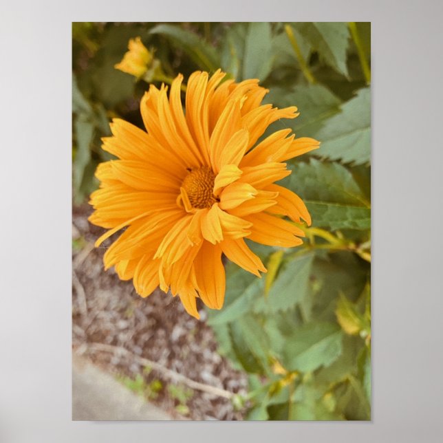 Affiche Imprimer, Papier d'affiche de valeur (Matte) (Devant)