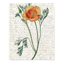 Imprimer, Papier d'affiche de valeur (Matte)