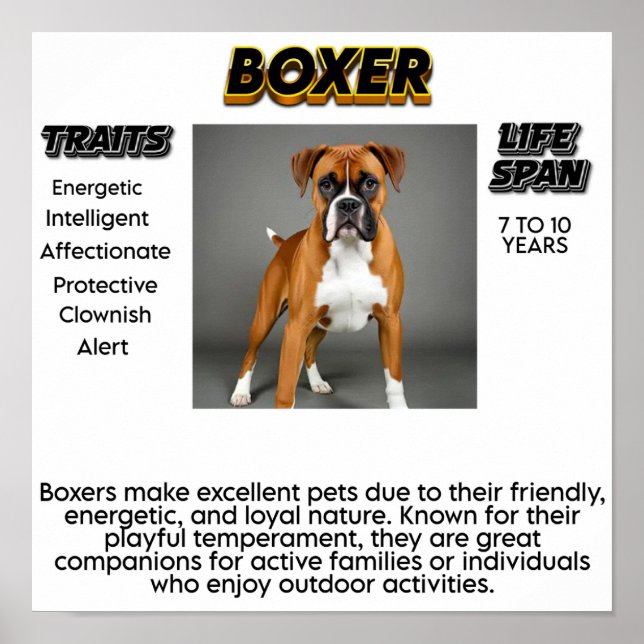 Affiche Imprimer, Papier d'affiche de valeur (Matte) (Devant)