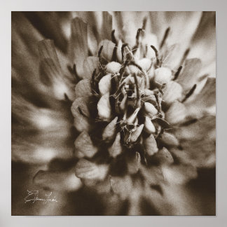 Affiche Imprimer, Papier d'affiche de valeur (Matte)