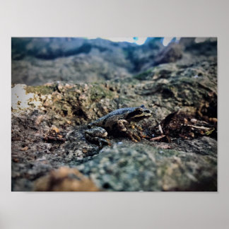 Affiche Imprimer, Papier d'affiche de valeur (Matte)