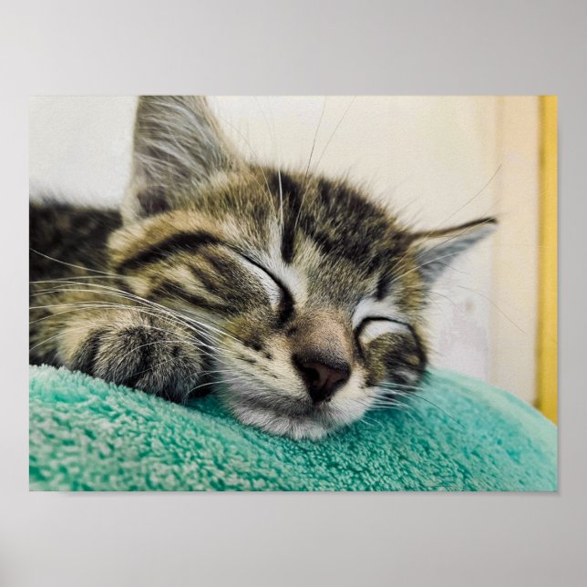 Affiche Imprimer, Papier d'affiche de valeur (Matte) (Devant)