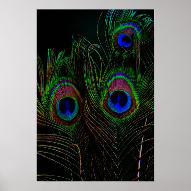 Affiche Imprimer, Papier d'affiche de valeur (Matte) (Devant)