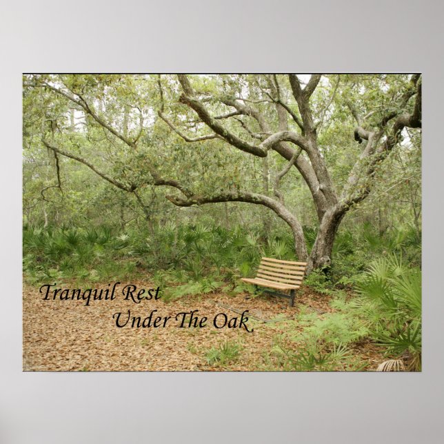 Affiche Imprimer, Papier d'affiche de valeur (Matte) (Devant)