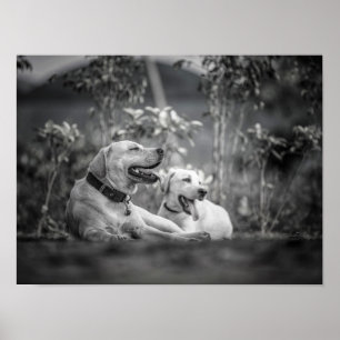 Affiche Imprimer, Papier d'affiche de valeur (Matte)