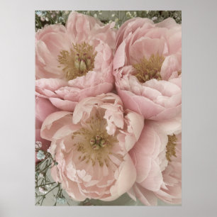 Affiche IMPRIMER Peonies I - 24po x 32po