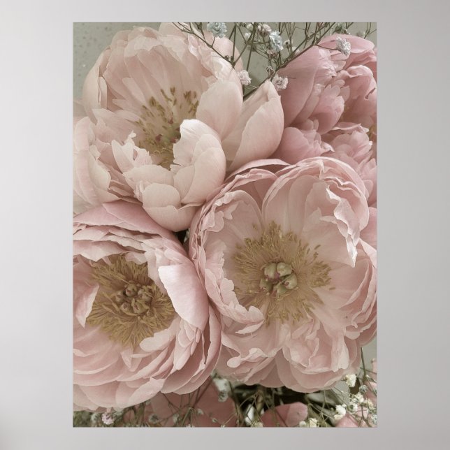Affiche IMPRIMER | Peonies II - 24po x 32po (Devant)