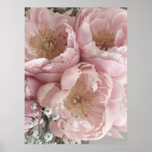 Affiche IMPRIMER Peonies III - 24po x 32po