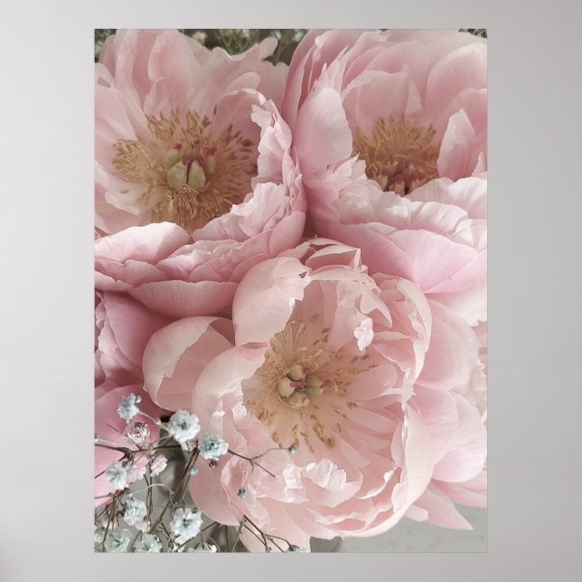 Affiche IMPRIMER | Peonies III - 24po x 32po (Devant)
