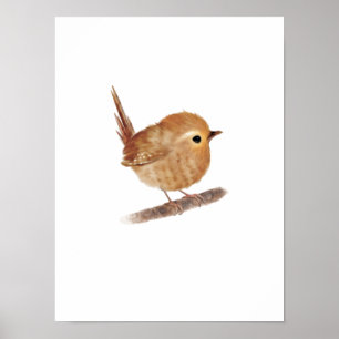 Affiche Imprimer Puffy Wren Bird