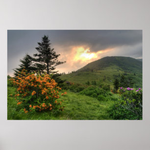 Affiche Imprimer Roan Mountain Art