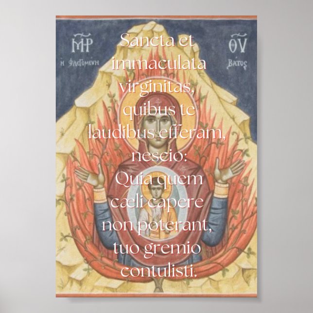 Affiche Imprimer Sancta et Immaculata (Devant)