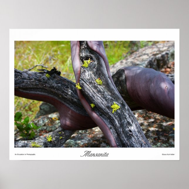 Affiche Imprimés Mansanita (Devant)