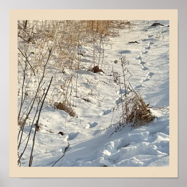 Affiche Imprimés sur l'affiche de neige (Devant)