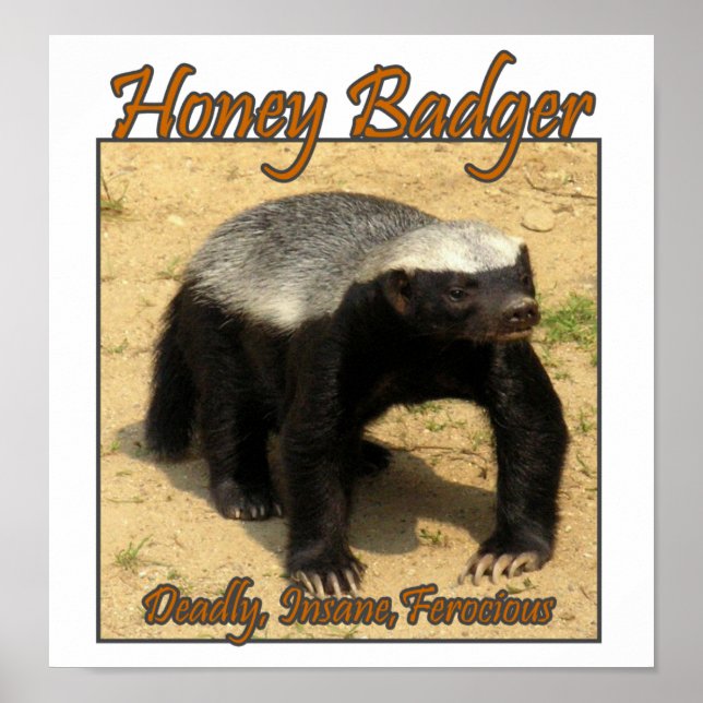 Affiche Imprimez Deadel, Insane, Ferocious Honey Badger (Devant)