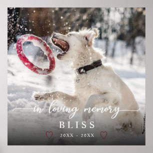 Affiche In Love Memory Calligraphy Pet Photo Monogramme