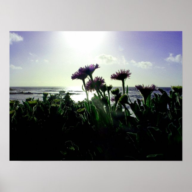 Affiche Incendie (Devant)