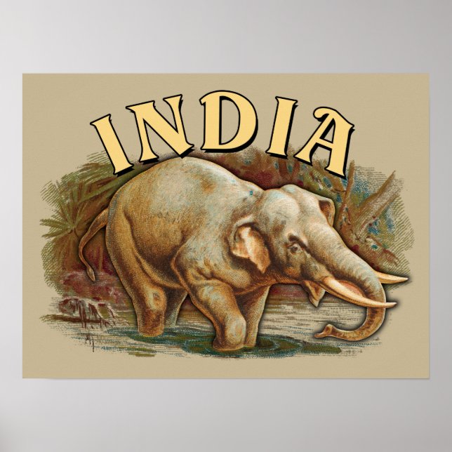Affiche Inde Faune - Eléphant Indien (Devant)