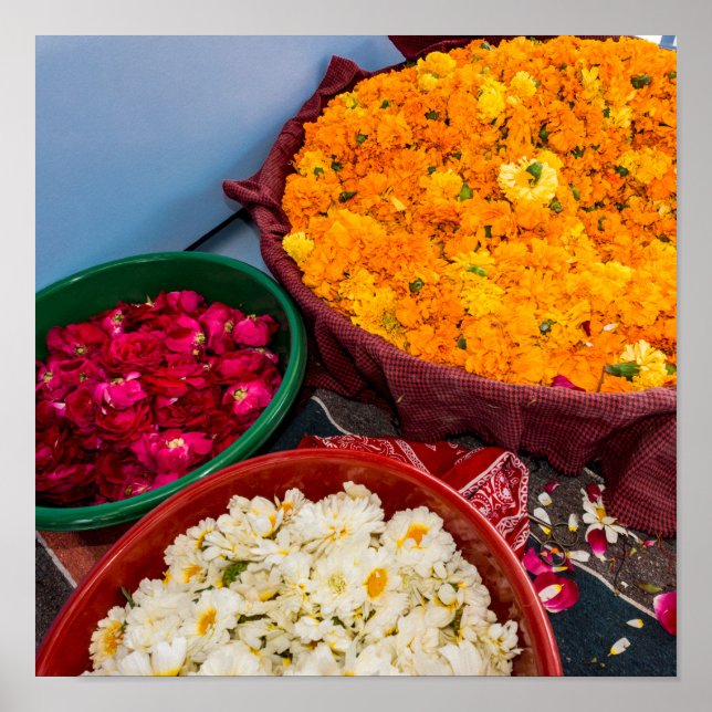 Affiche Inde, Rajasthan, Pipar (Devant)