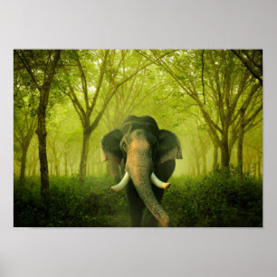 Affiche Indian Elephant Superbe Grosse Forêt Verte De Mamm