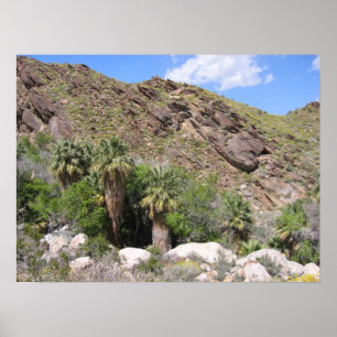 Affiche IndianCanyon (8)