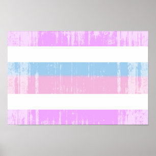 Affiche Indicateur de la fierté intersexuelle