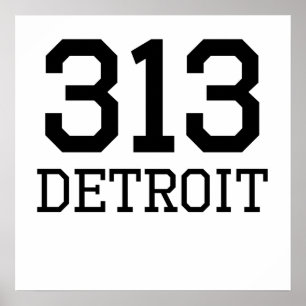 Affiche Indicatif régional de Detroit 313