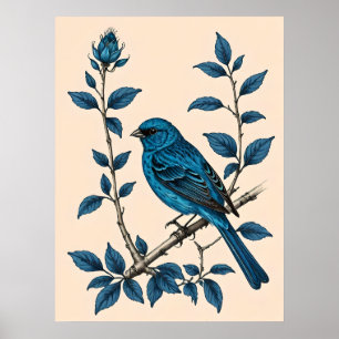 Affiche Indigo Bunting Bliss - Une chanson de couleurs