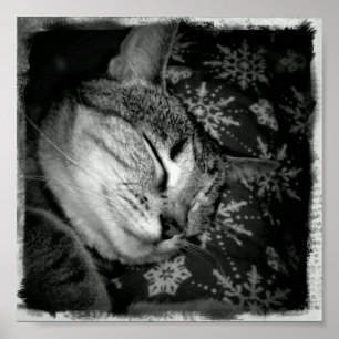 Affiche Indigo souriant B+W