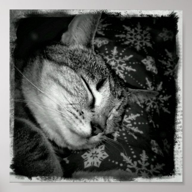 Affiche Indigo souriant B+W (Devant)