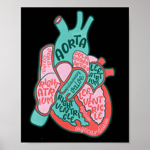 Affiche Infirmière cardiaque Cvicu Anatomie du coeur humai