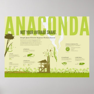 Affiche Infographie : Anaconda