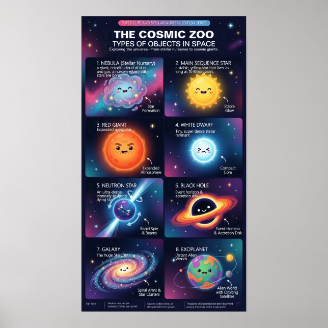 Affiche Infographie astronomique d'objets spatiaux du zoo  (Devant)