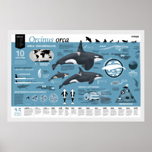 Affiche infographique - Édition néerlandaise