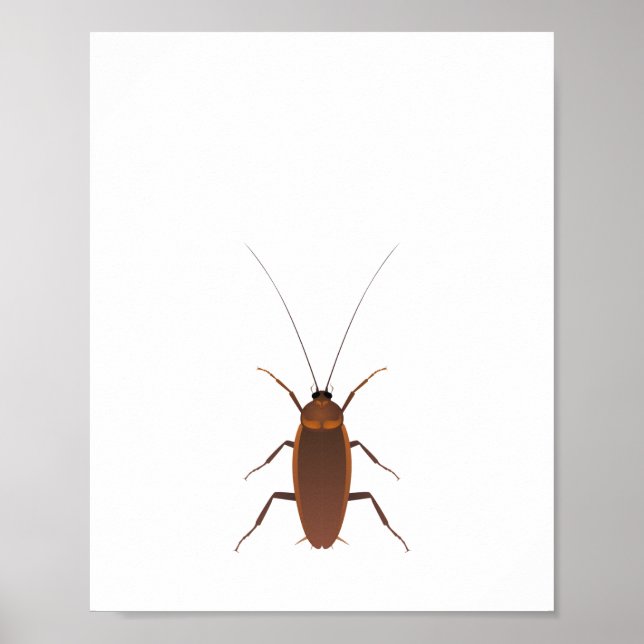 Affiche Insecte Cockroach (Devant)