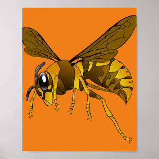 Affiche insecte guêpe à cornet