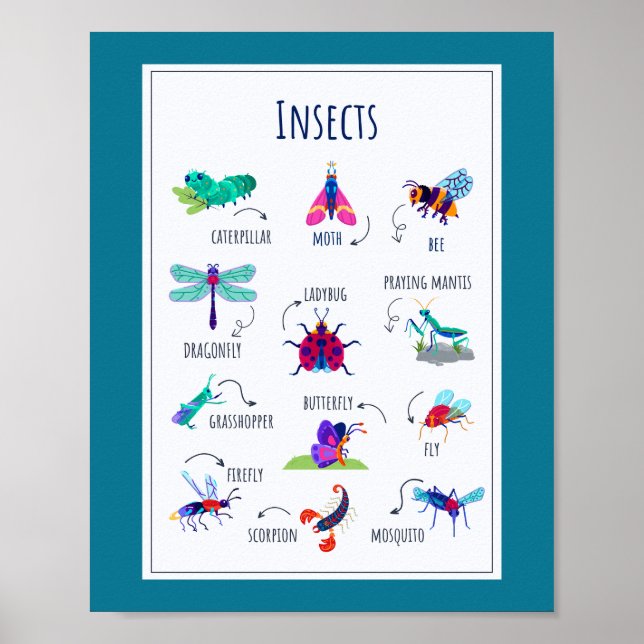 Affiche Insecte l'enseignement scolaire (Devant)