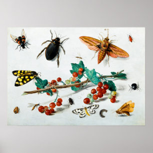 Affiche Insectes par Jan van Kessel l'Ancien