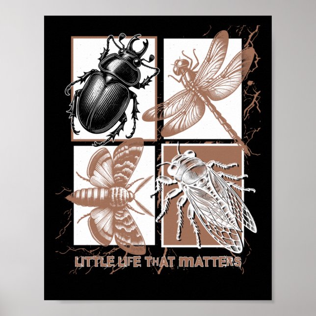 Affiche Insectes vintages - scarabée (Devant)