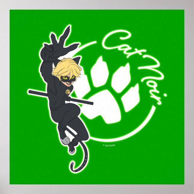 Affiche Insigne Cat Noir (Devant)