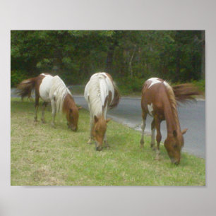 Affiche insouciante de poneys