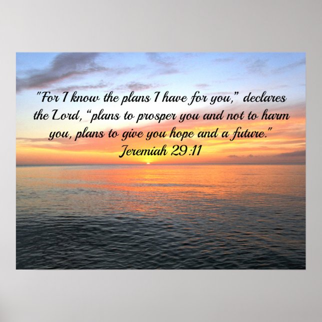 AFFICHE INSPIRANT JEREMIAH 29:11 SLELER "PLANS POUR L'ESPO (Devant)