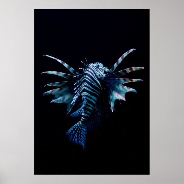 Affiche Inspiration (Devant)