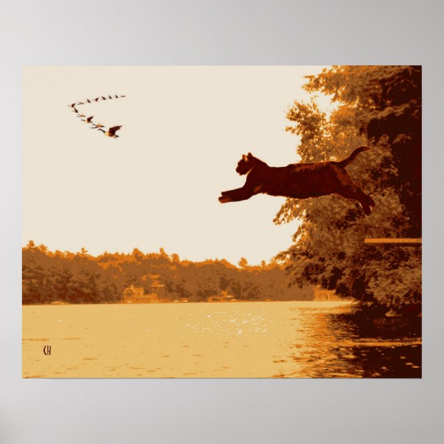 Affiche Inspiration Cat (Devant)