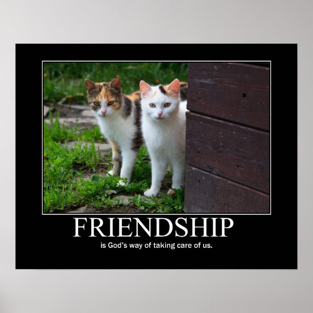 Affiche Inspiration Friendship Cat (Devant)