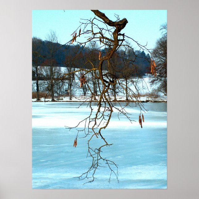 Affiche Inspiration hivernale (Devant)